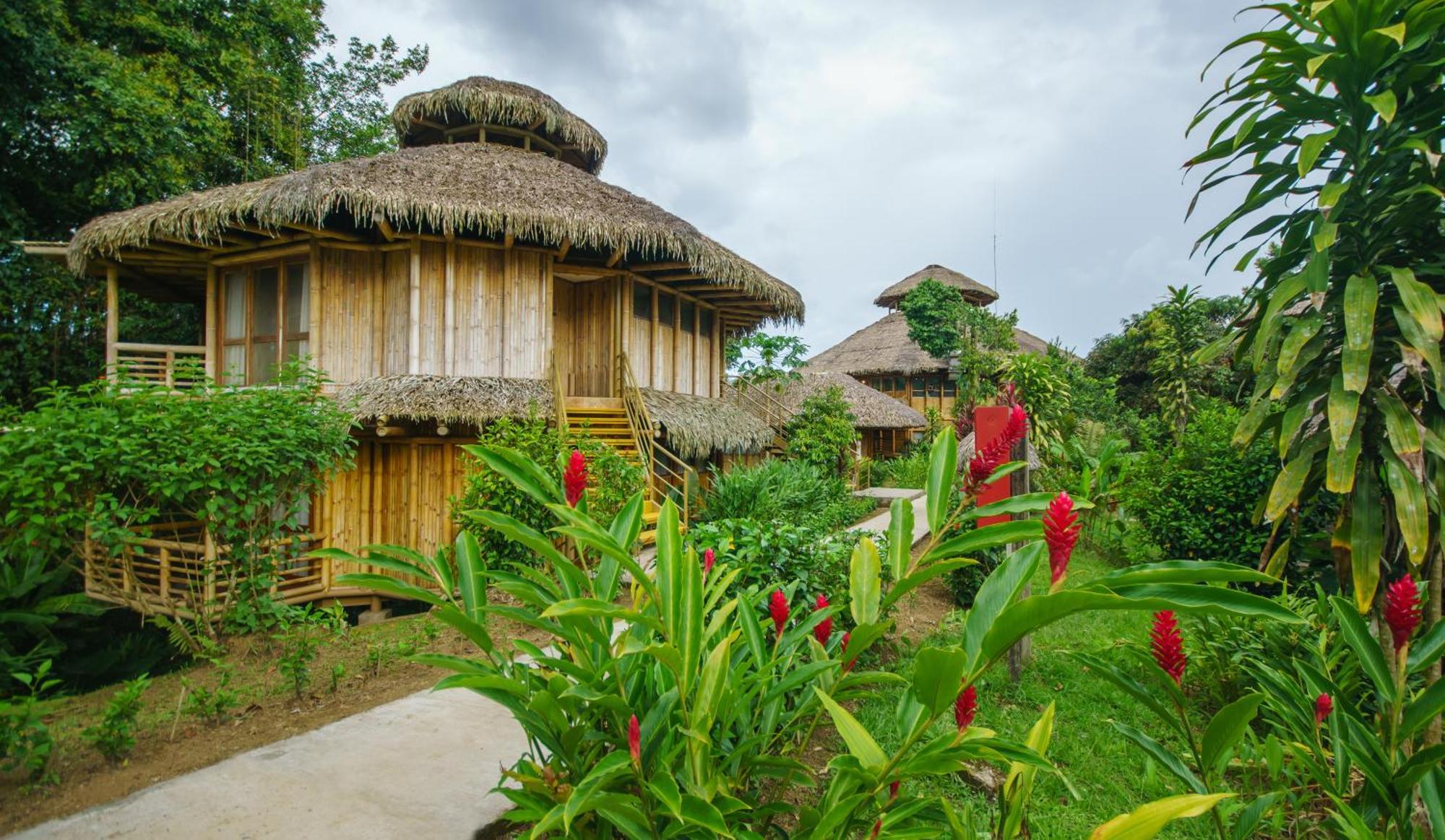 La Selva Eco-Lodge & Retreat Providencia Ngoại thất bức ảnh