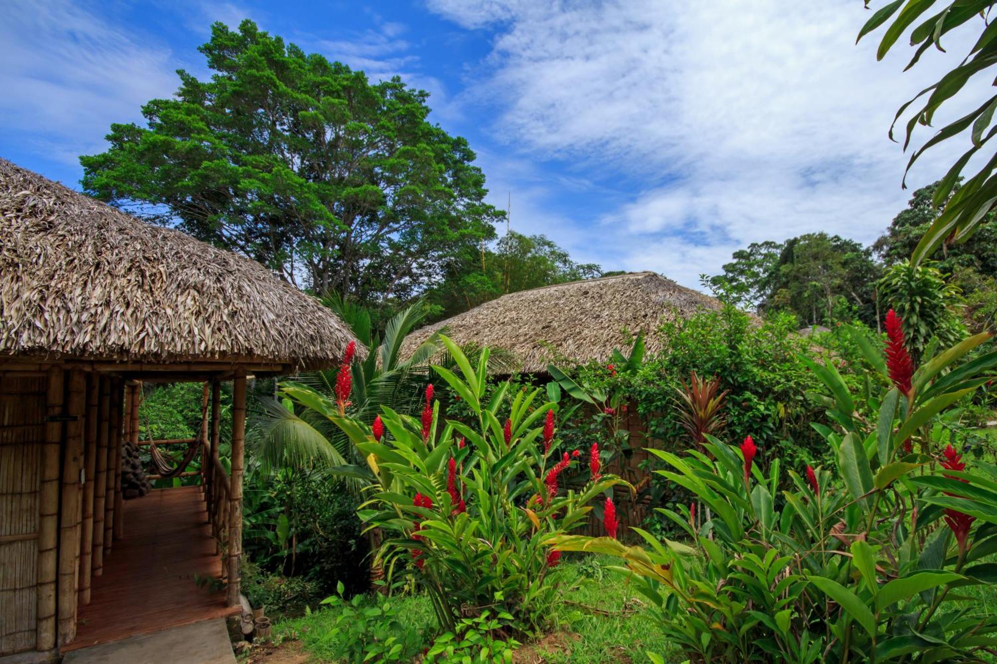 La Selva Eco-Lodge & Retreat Providencia Ngoại thất bức ảnh