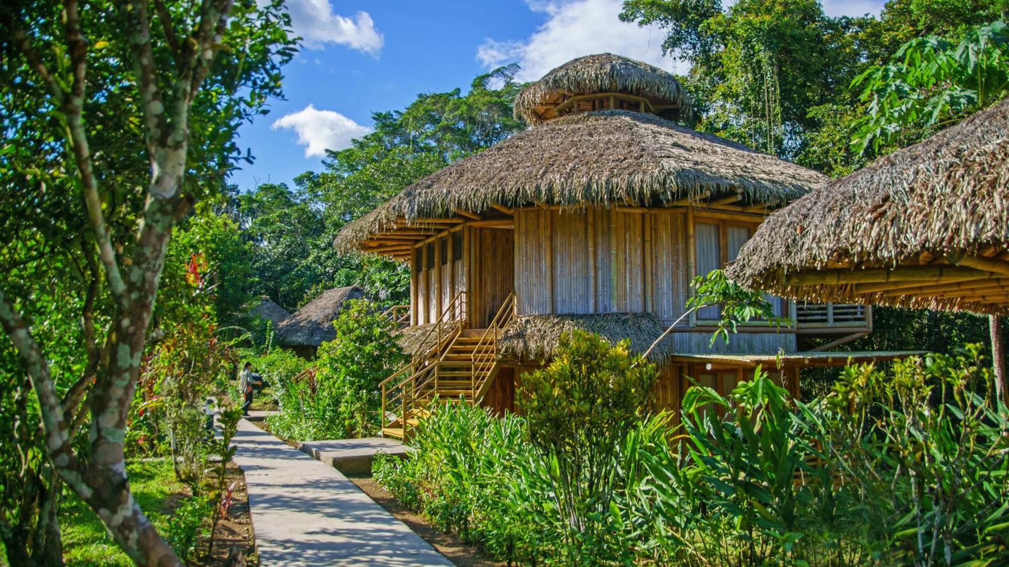 La Selva Eco-Lodge & Retreat Providencia Ngoại thất bức ảnh