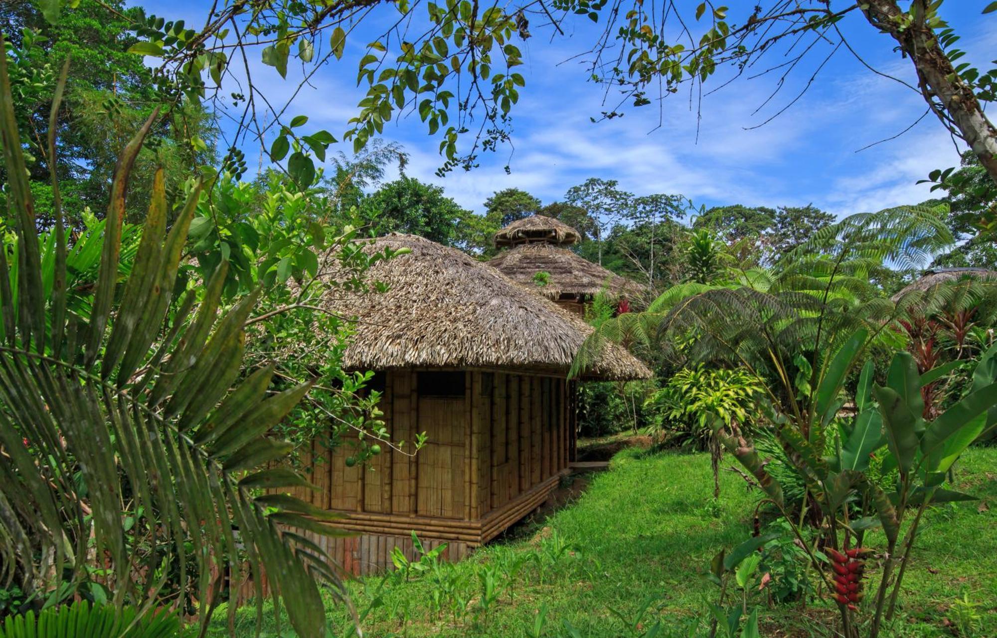La Selva Eco-Lodge & Retreat Providencia Ngoại thất bức ảnh