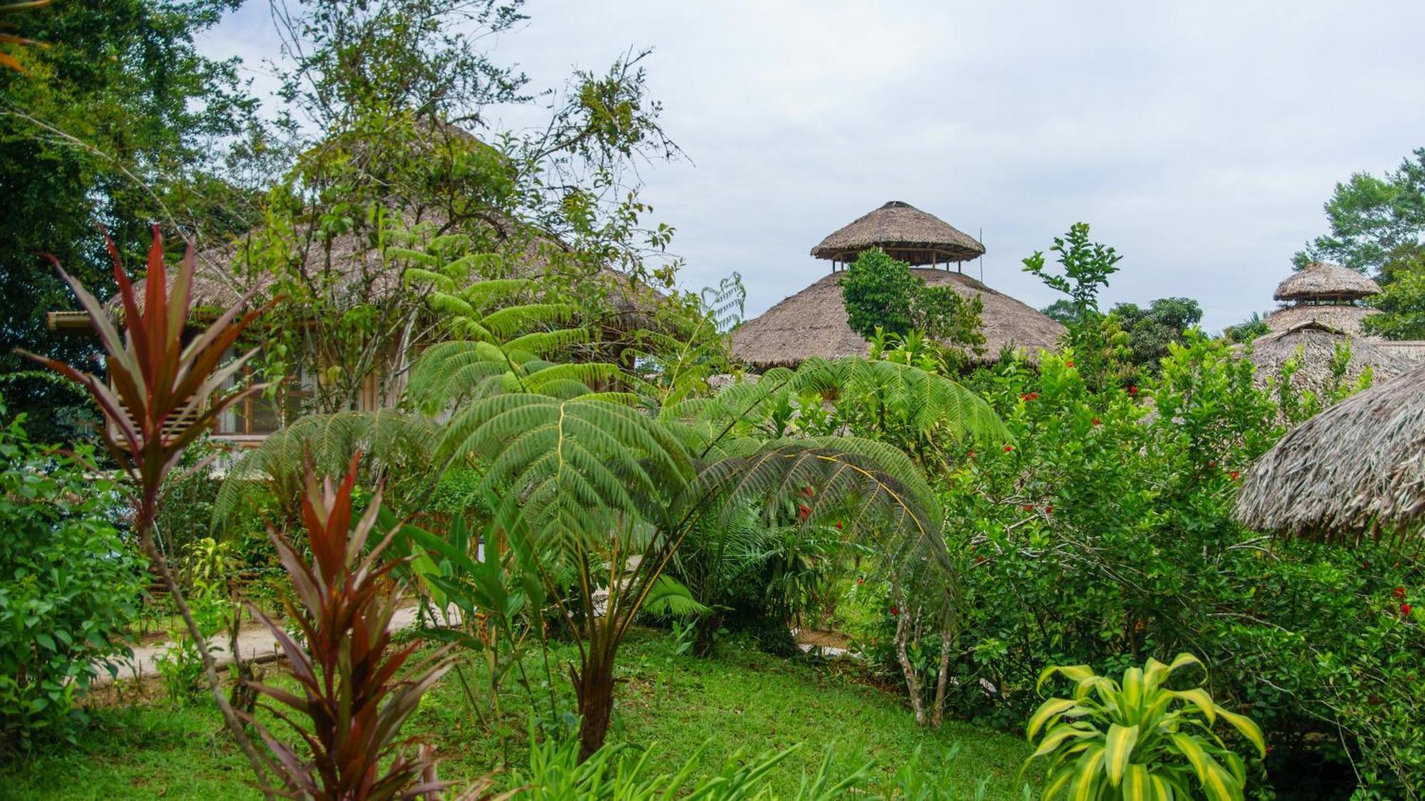 La Selva Eco-Lodge & Retreat Providencia Ngoại thất bức ảnh