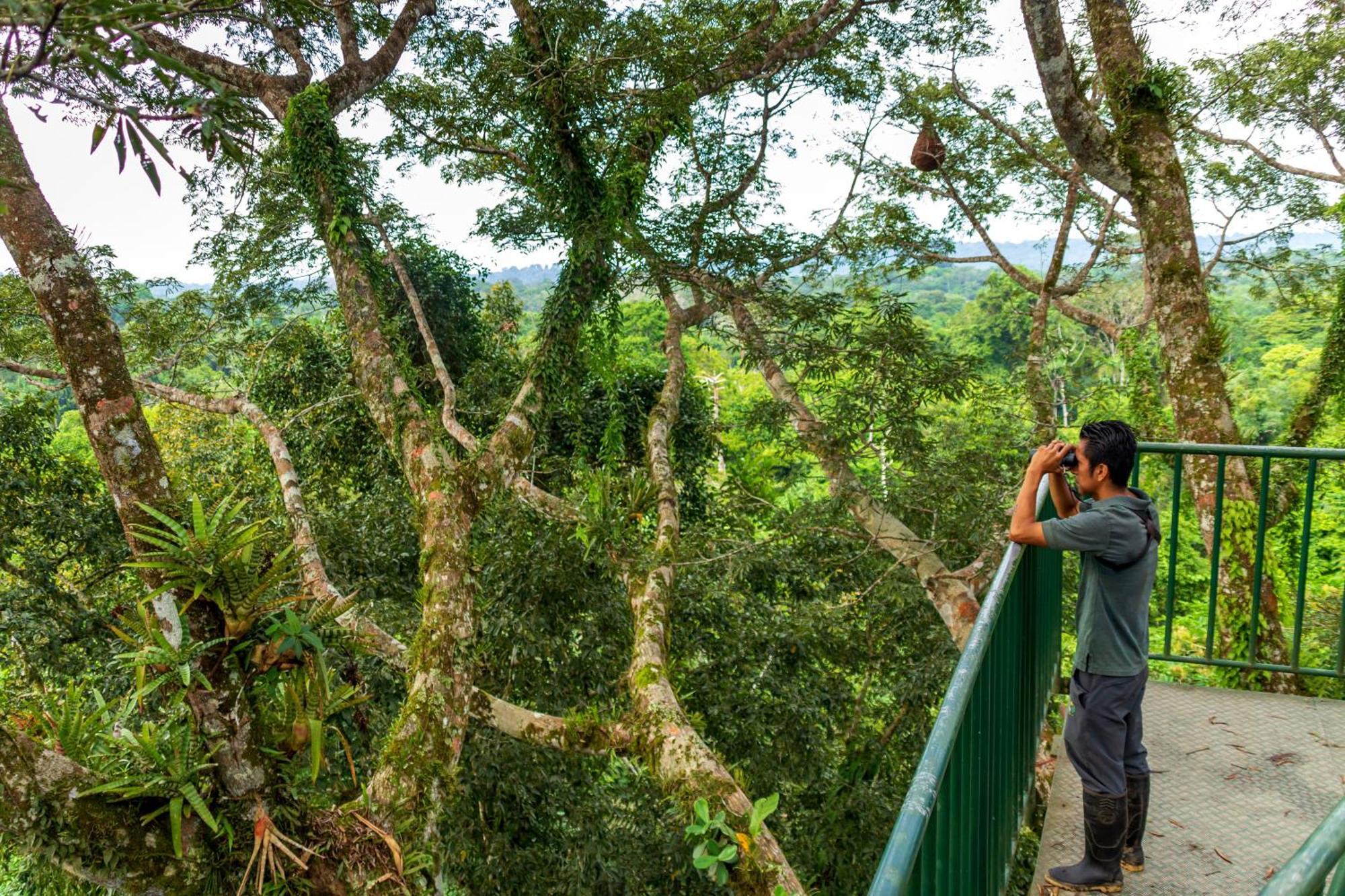 La Selva Eco-Lodge & Retreat Providencia Ngoại thất bức ảnh