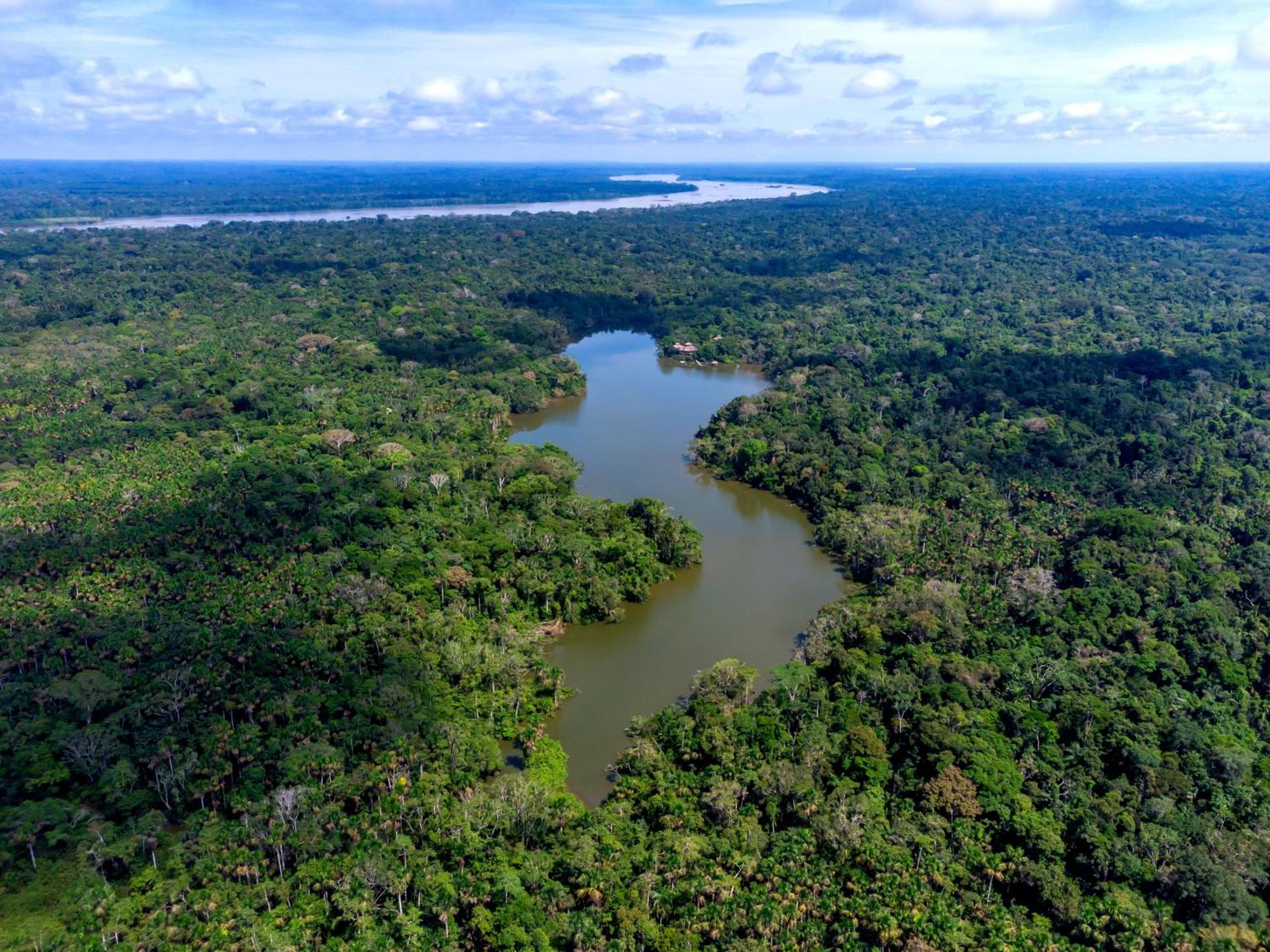 La Selva Eco-Lodge & Retreat Providencia Ngoại thất bức ảnh